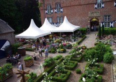 Een beetje een andere opstelling dan in de ander FlowerTrials locaties is die van Kientzler in Geldern-Walbeck, Duitsland. Een aantal jaar al presenteren zij hier, in Schloss Walbeck hun varieteiten. 